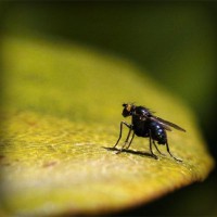 /album/sisibella/photolia-a07-jpg/